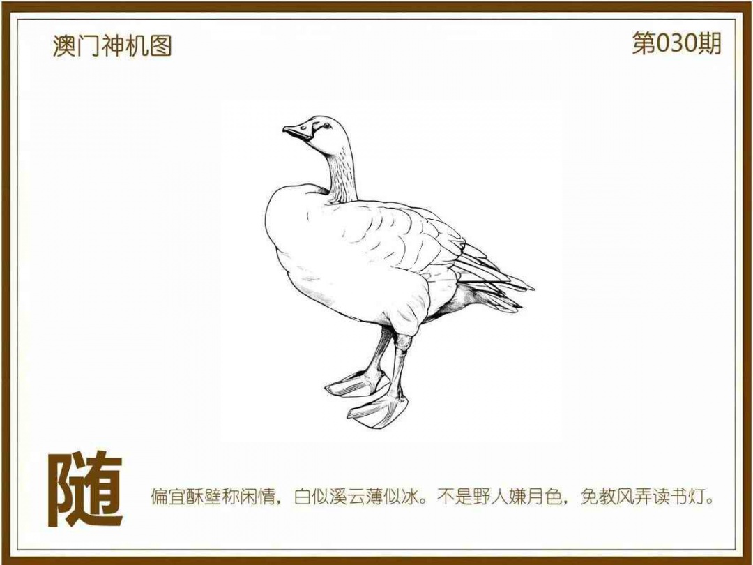 030期澳门神机图[图]