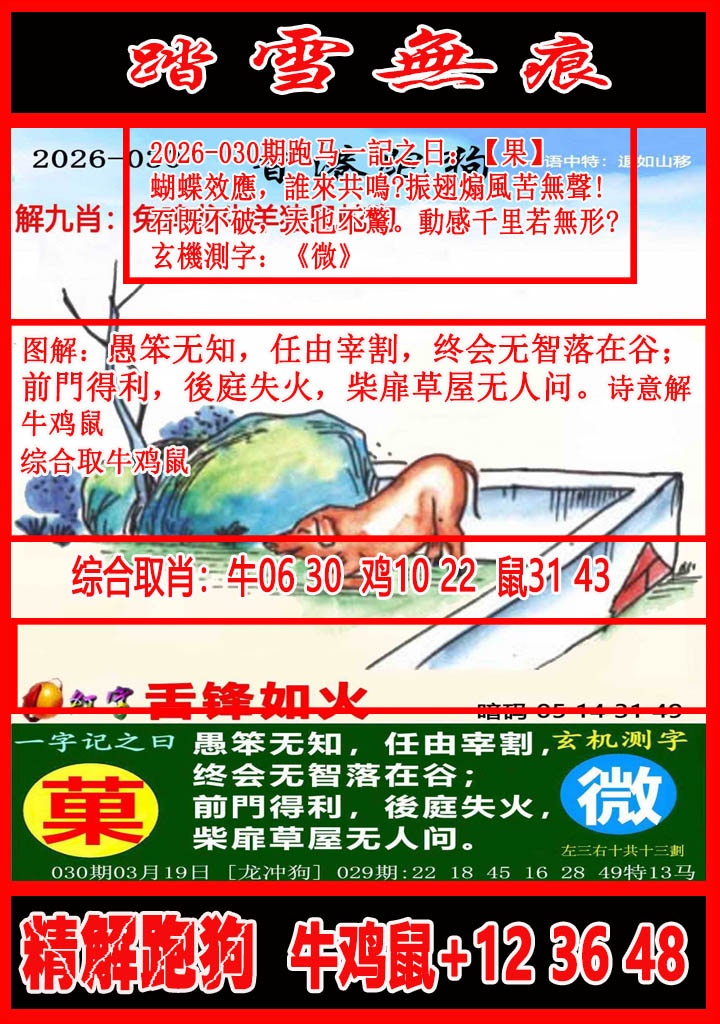 030期踏雪无痕解跑狗[图]